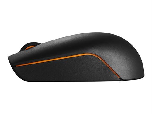 Lenovo 300 Wireless Compact - Souris - 3 Boutons - Sans Fil - 2.4 Ghz - Récepteur Sans Fil Usb - Pour La Vente Au Détail