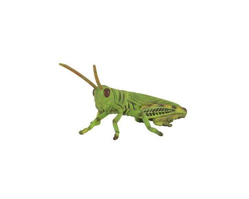 Figurines Collecta Figurine Insecte : Sauterelle