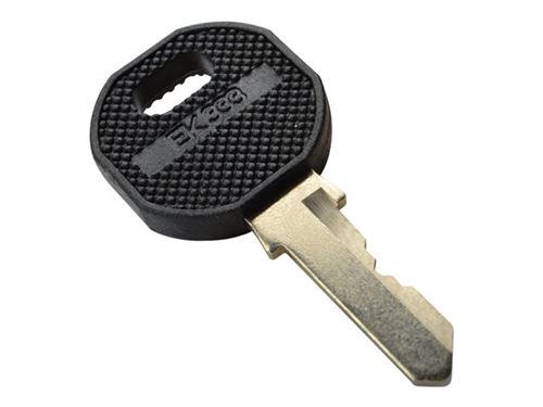 DIGITUS Professional DN-19 KEY-9473 - clé de verrouillage de sécurité de rack