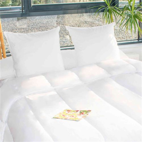 Lot de 2 oreillers haute lavabilité 95°C 60x60