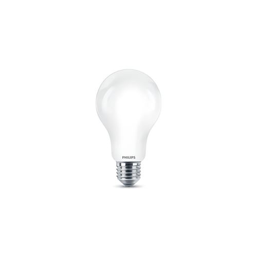 Philips - Ampoule LED - E27 - 150W - Blanc Froid - Image 3