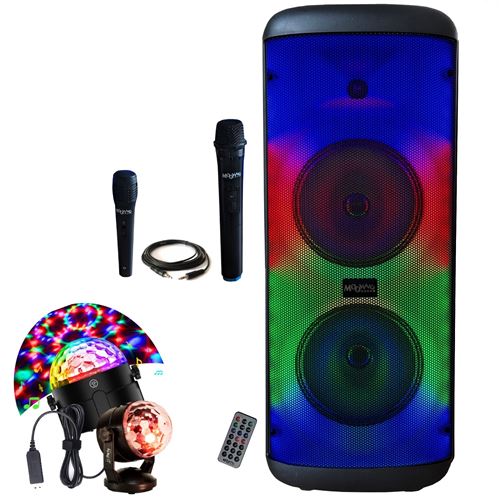 Party Light & Sound - Enceinte Lumineuse sur Batterie Karaoke Enfant Party  ALFA-2600 USB Bluetooth - Jeu de Lumière Astro - Fête Boum Anniversaire