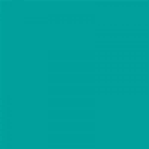 Cahier - A4 (21x29,7cm) - Petits carreaux - 120 pages - couverture en  carton bleu ciel - à spirale - Miquelrius - Cahier Grand Format - Achat &  prix