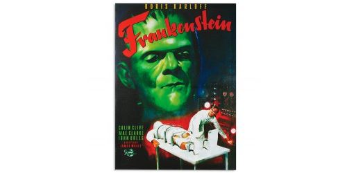 Poster de cinéma Frankenstein - Affiche de film