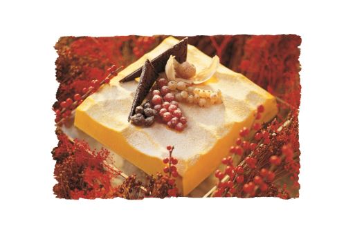 Mallard ferriere - kit 2 moules carre sable ss009