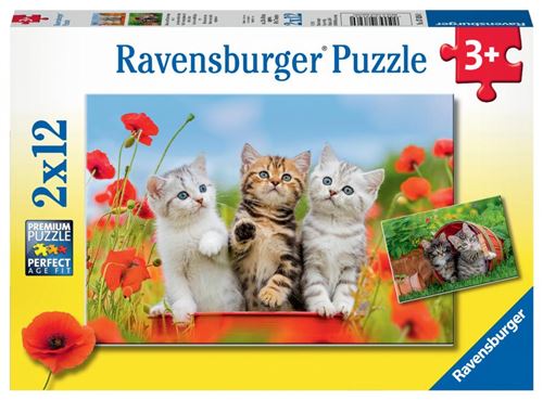 Ravensburger 2 12 pièces Découverte, Puzzle, Casse Tete, Garcon, Enfants,Jouets Fille,Animaux, Jeux, Chats, 4005556076260, Néant