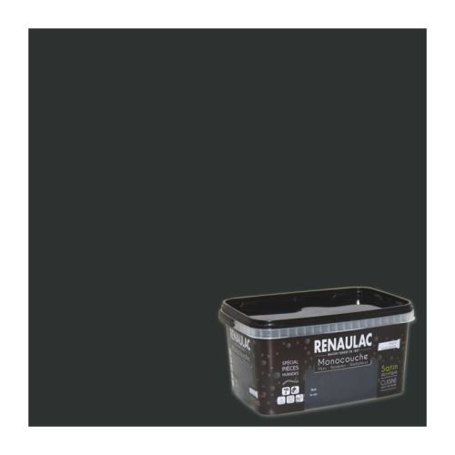 Peinture Murale Monocouche Speciale Pieces Humides 2 5 L Noir