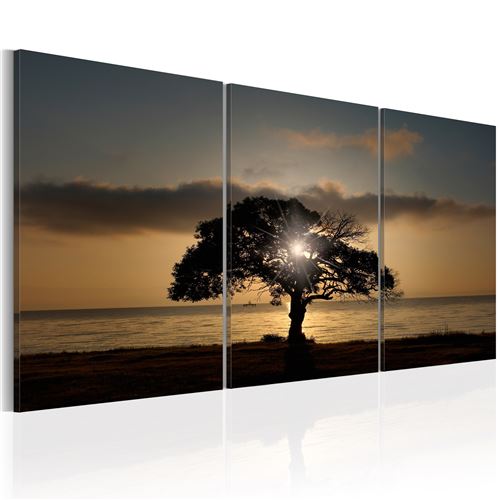 Tableau - Extraordinary Nature - Décoration, image, art | Paysages | Arbres | 120x60 cm |