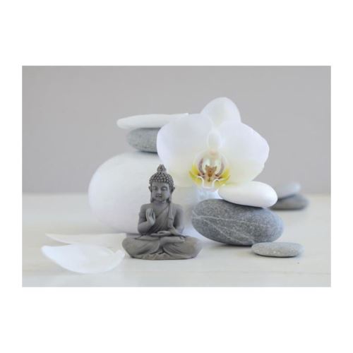 affiche papier - bouddha grey - chatelain - 50x70 cm
