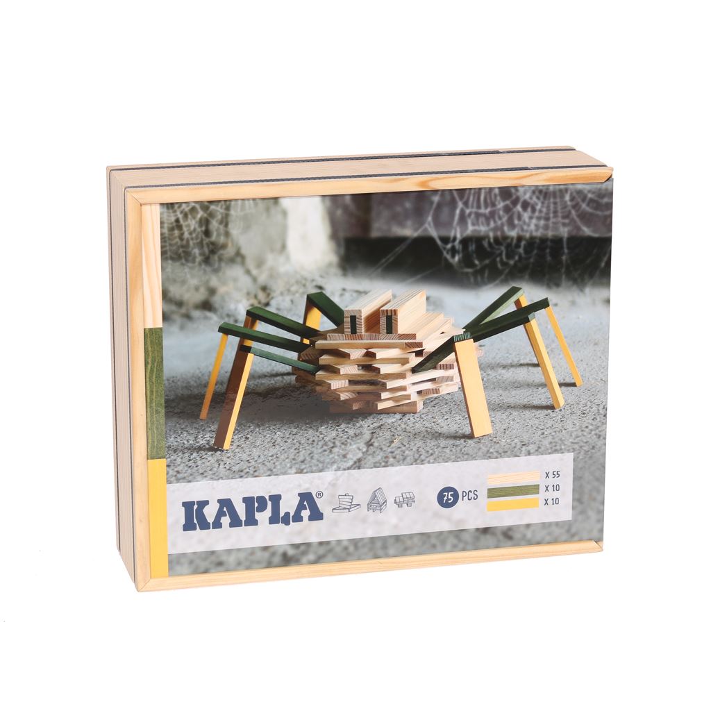 Livre coffret jeux Kapla - Jeux de construction