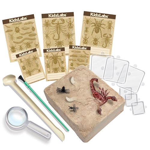 4M - Kit Découverte de la Science - Déterre Les Insectes - Jeu Éducatif - Image 2