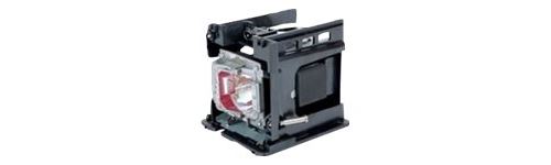 Optoma - Projectorlamp - 260 Watt - voor Optoma EH319, EH320, W319, W320, X320