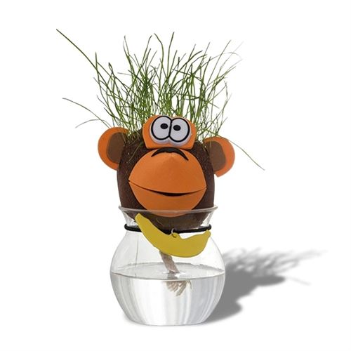 Tête d'animal cheveux d'herbe qui pousse cochon