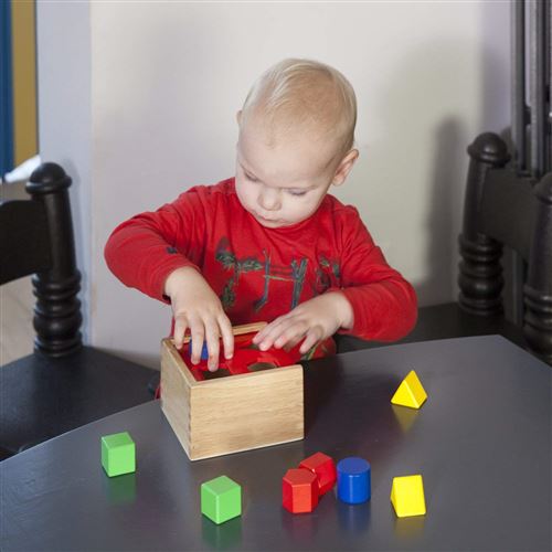 Bo/îte avec Formes /à Encastrer 10560 En Bois New Classic Toys