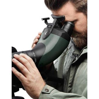 Module SWAROVSKI BTX seul