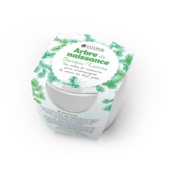 Kit de cultivo Árbol de nacimiento - Abeto