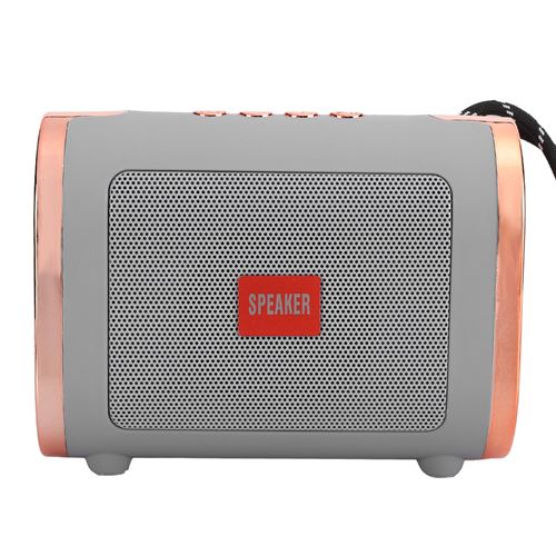 Mini Enceinte sans Fil Bluetooth Portable 4Ω 3W USB FM - Gris