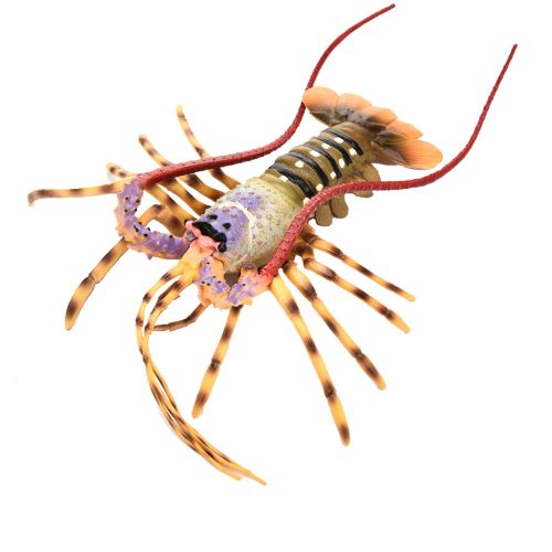 Modèle de simulation de homard / éducation Early Kids Play Toy / Cuisine Décoration