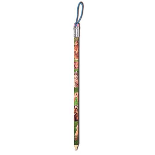 IMPEXIT - Crayon géant marmotte en bois 38/1,5/1,5 cm