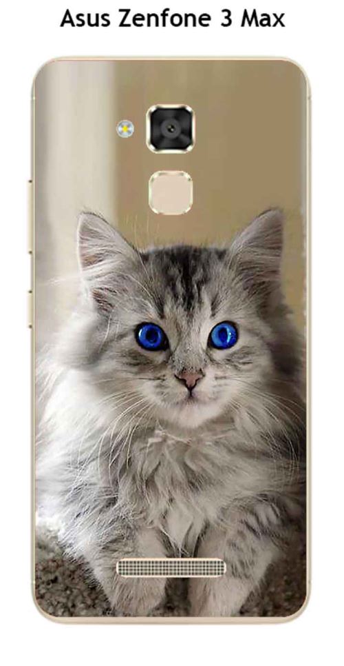 Coque Asus Zenfone 3 Max ZE520 TL design Chaton aux yeux bleus