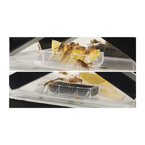 Comparer les prix de Boite a nourriture vivante PM