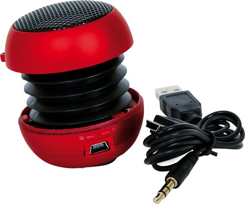 Haut-Parleur Portable
