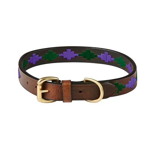Meilleurs prix pour Weatherbeeta - Collier POLO - Chien (M) (Marron/ violet/ bleu) - UTWB1260