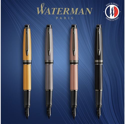 Stylo Plume WATERMAN PARIS Argenté - Occasion, Plume Or, Écriture De Qualité