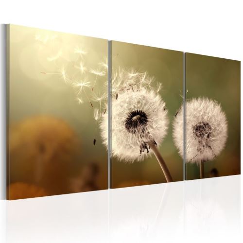 Tableau - Whisper of Summer .Taille : 60x30
