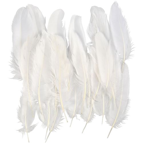 Creotime plumes d'oie longueur 15 cm 50 grammes blanc 70 pièces
