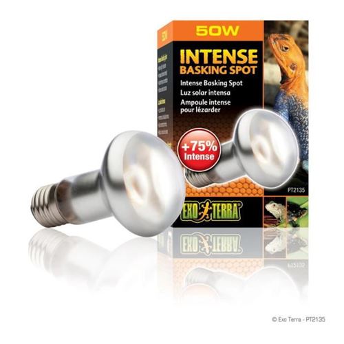 EXO TERRA Sun Glo Intense Basking Spot 50 w. m/UVA