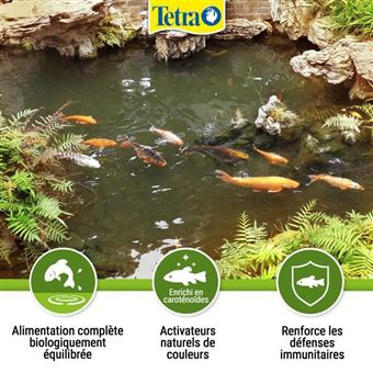 Alimentation Tetra Pond Koï Sticks pour poissons de bassin