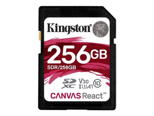 Kingston - SDR/256GB - Carte mémoire SD - 256 Go