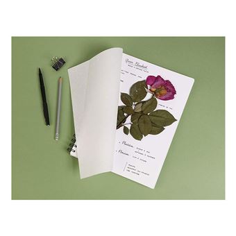 CLAIRFTN HERBIER R.I. 24X32CM 180G 64P