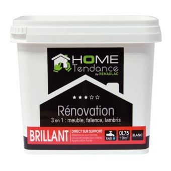 Peinture Renovation Multi Supports 3 En 1 0 75 L Blanc Brillant