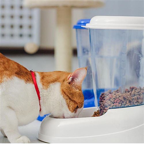 Ferplast Distributeur De Nourriture Sèche Croquettes Pour Chats Et Chiens 3 Litres Zenith Mangeoire Pratique Distributeur De Nourriture Biscuits