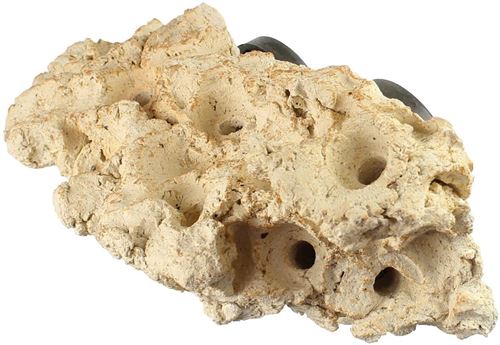 Meilleurs prix pour Tunze Corail Rack, Long,