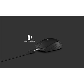 SDLOGAL Souris silencieuse optique sans fil rechargeable 2,4 G 1600 DPI avec récepteur USB