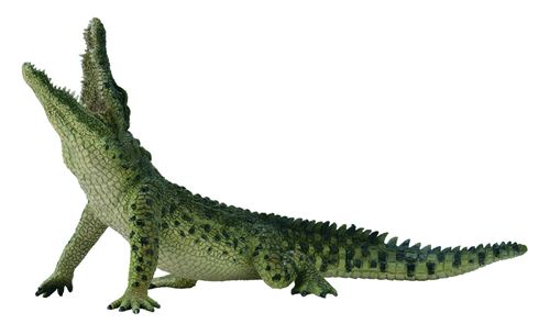 Collecta Animaux Sauvages (XL) Crocodile DU NIL avec le déplacement BEK