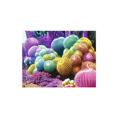 Puzzle 2000 pièces : Arc en ciel de cactus Ravensburger Nathan