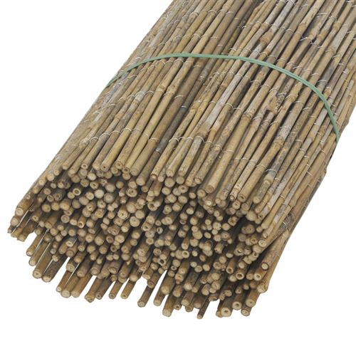 NO NAME - Canisse en petit bambou 1 x 5m
