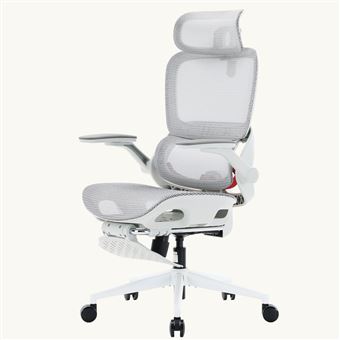 SIHOO B100 Pro Chaise de Bureau Ergonomique, Maille, Soutien Lombaire 4D, Appui-Tête 3D, Accoudoirs 4D Rabattables, Repose-Pieds Gris - 1