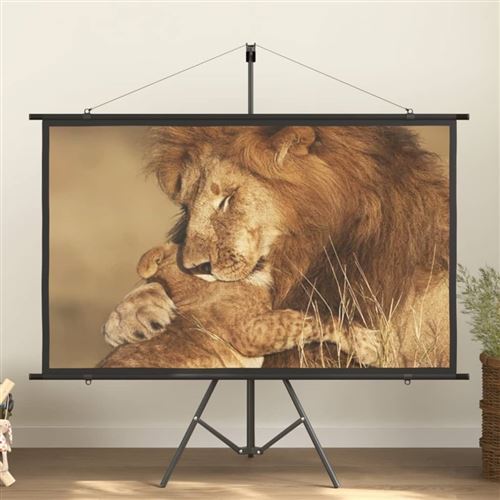 vidaXL Écran de projection avec trépied 72 16:9