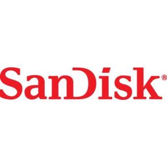SanDisk Ultra USB-C Flash Drive Clé USB 32 GB SDCZ460-032G-G46 USB 3.1 (Gen 1)
