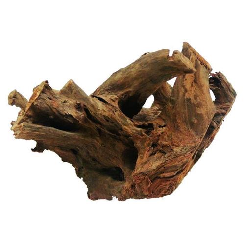 aime décoration pour aquarium - racine mangrove - taille moyenne