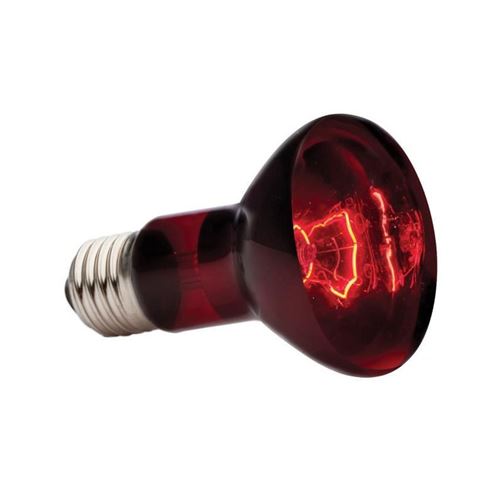Meilleurs prix pour EXO TERRA Lampe infrarouge Baskin Spot - 50 W - Pour terrarium