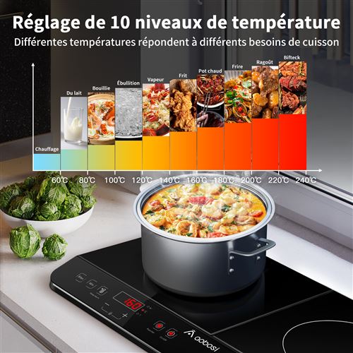 Plaque de cuisson à Induction Portable DOUBLE 3500W