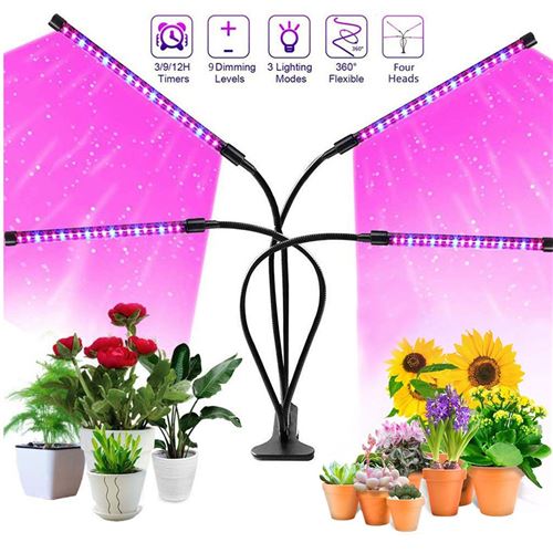 Ampoule de culture de plantes à DEL à spectre complet prix d'usine Lampe UV  à fleurs pour plantes - Chine Lumières DE croissance À DEL pour plantes d' intérieur, lumières de croissance à