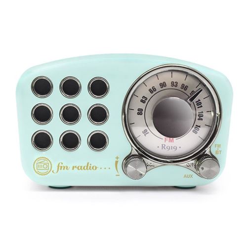 Mini Haut-Parleur Bluetooth Design Rétro et Radio-FM (Bleu)