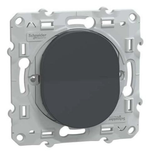 Non Communiqué Anthracite Schneider Electric - Bouton Poussoir Fermeture 10A - Ovalis - Schneider